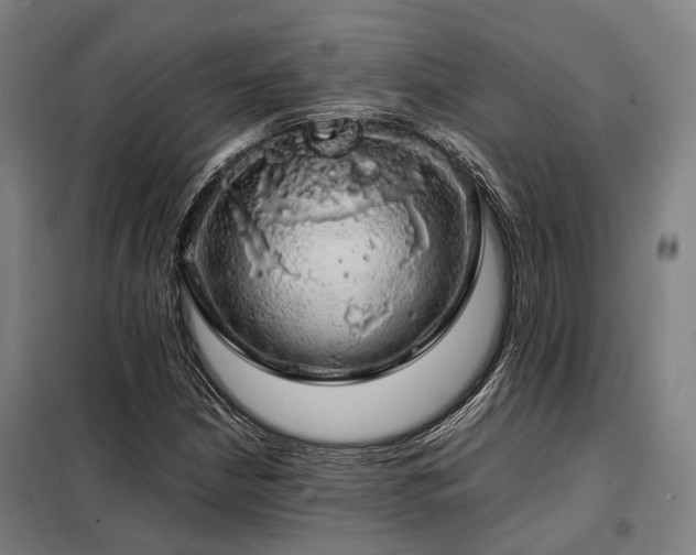 X0000098121210200804041400