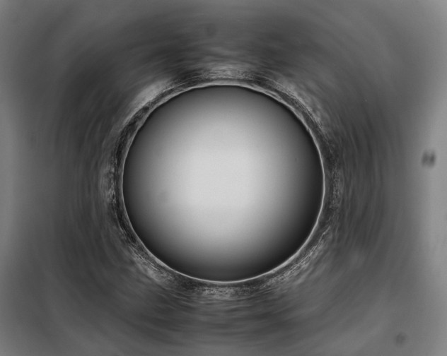 X0000098121211200804041400
