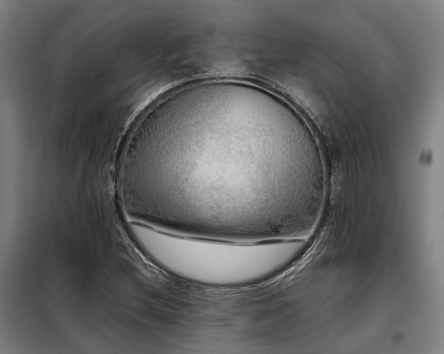 X0000098121212200804041400