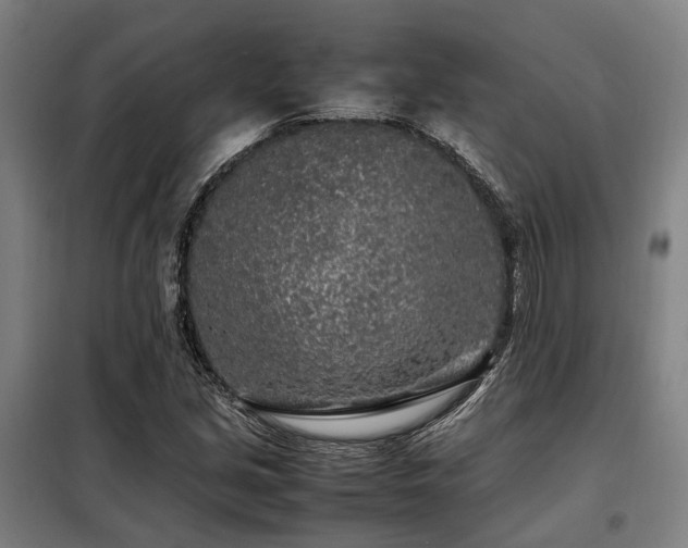 X0000098121213200804041400