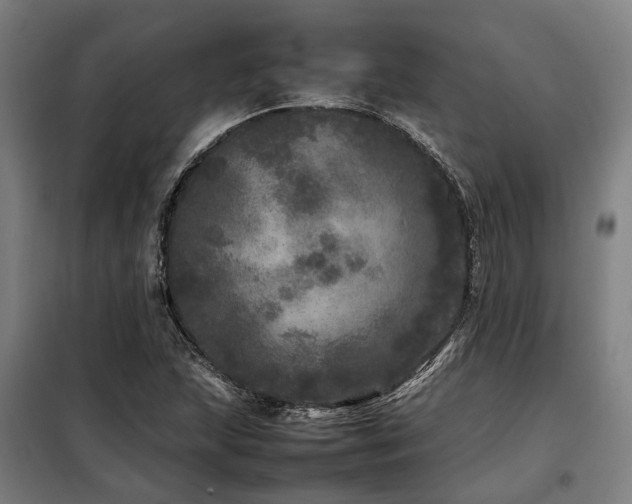 X0000098121215200804041400