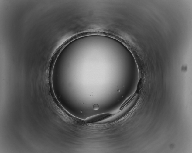 X0000098121216200804041400