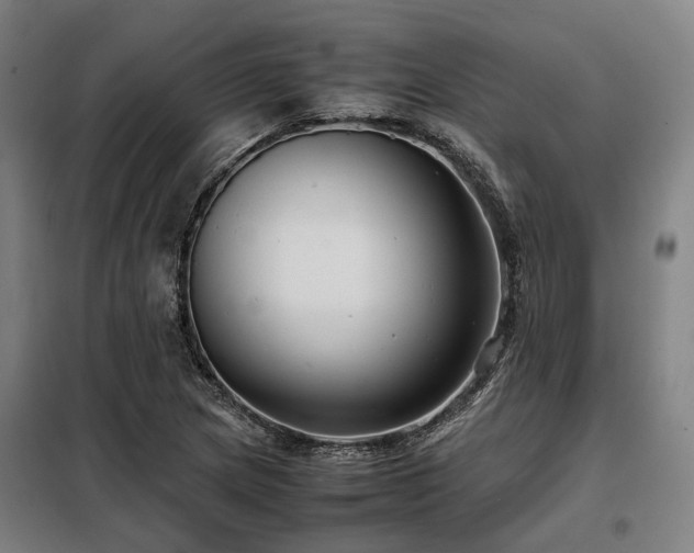 X0000098121217200804041400