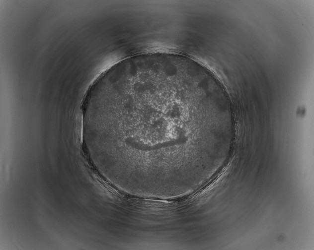 X0000098121219200804041400