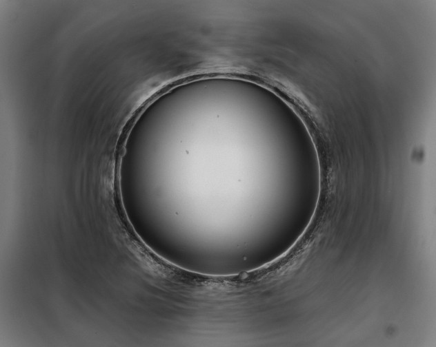 X0000098121220200804041400