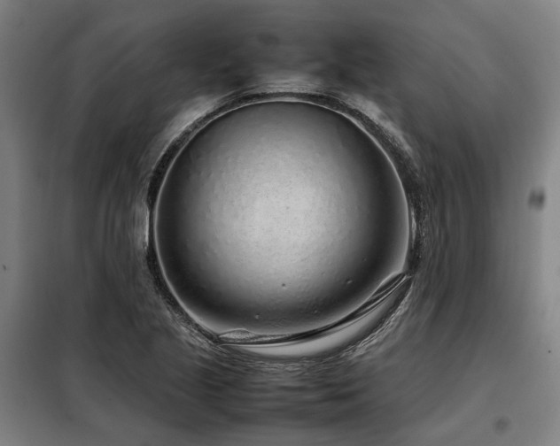 X0000098121221200804041400