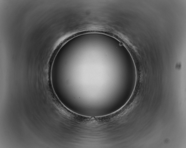 X0000098121222200804041400