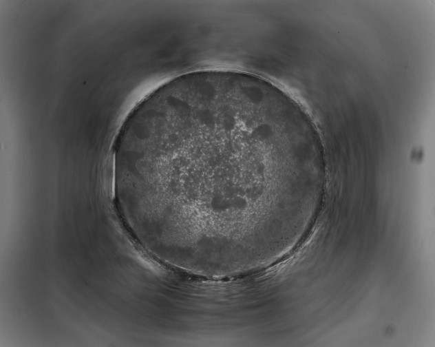 X0000098121223200804041400
