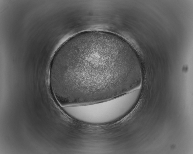 X0000098121224200804041400