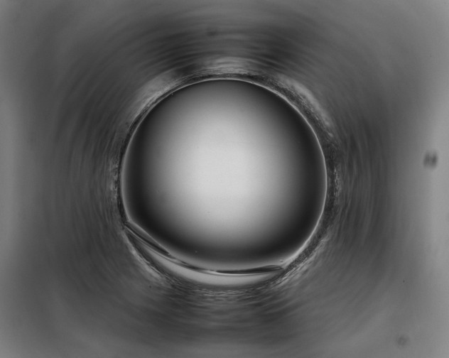 X0000098121225200804041400
