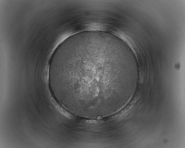 X0000098121227200804041400