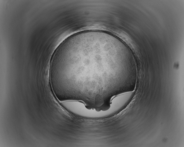 X0000098121228200804041400