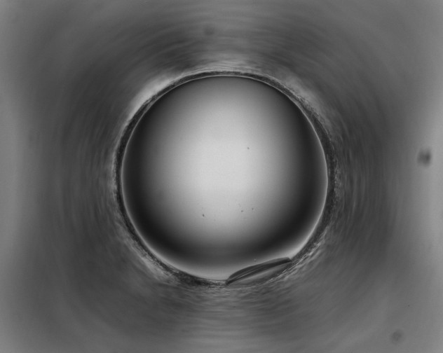 X0000098121230200804041400
