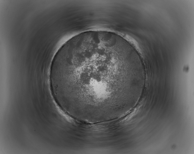 X0000098121231200804041400