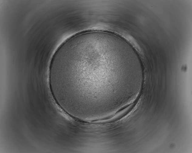 X0000098121232200804041400