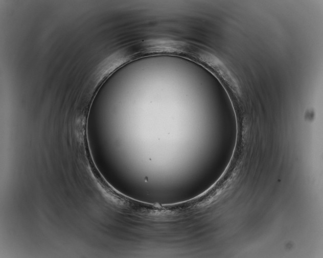 X0000098121233200804041400