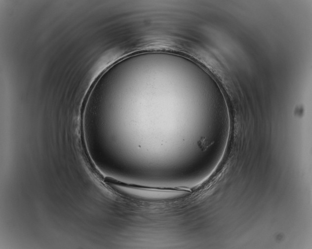 X0000098121234200804041400