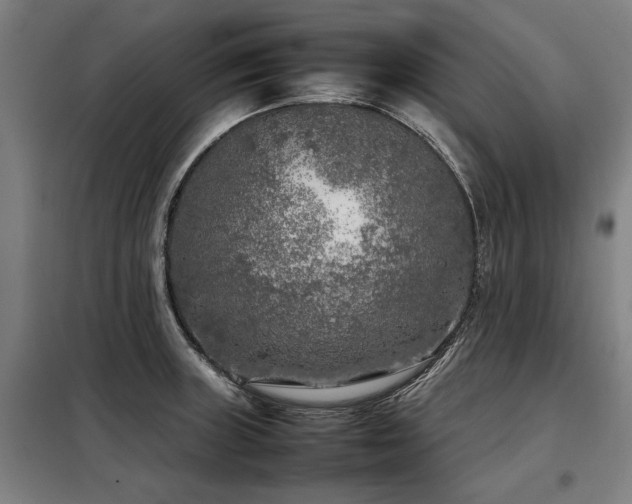 X0000098121235200804041400