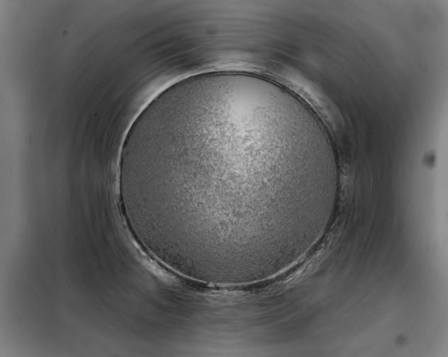 X0000098121236200804041400