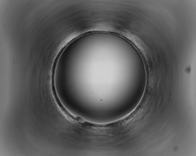 X0000098121237200804041400