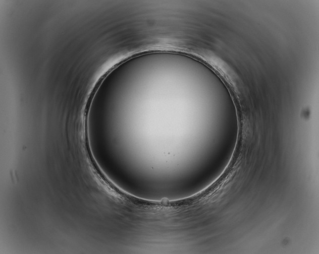 X0000098121238200804041400