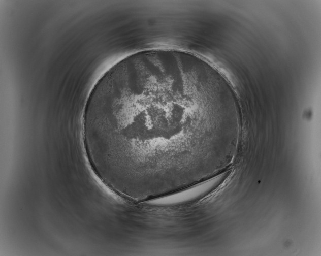 X0000098121239200804041400