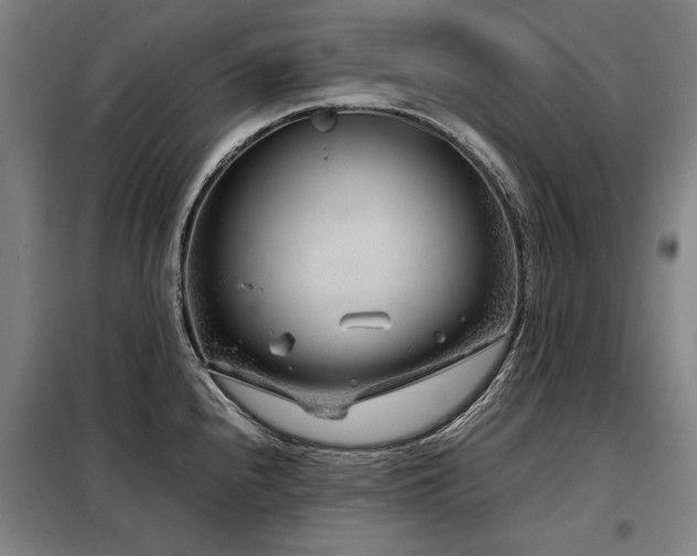 X0000098121240200804041400