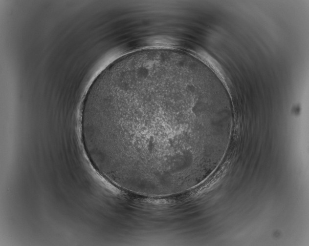 X0000098121243200804041400