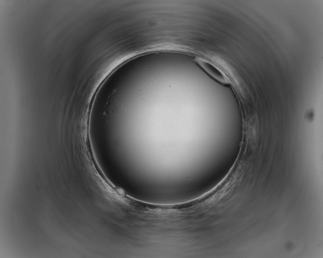 X0000098121244200804041400
