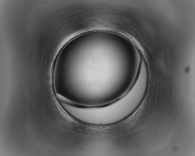 X0000098121246200804041400