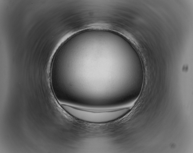 X0000098121248200804041401