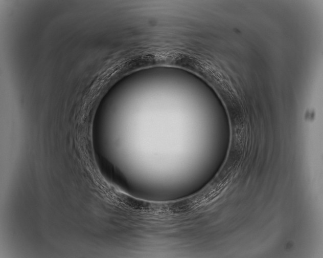X0000098121249200804041400