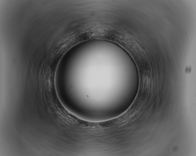 X0000098121250200804041400