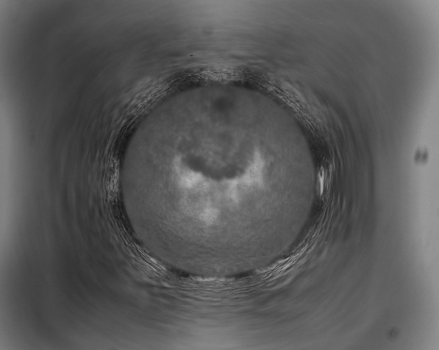 X0000098121251200804041400