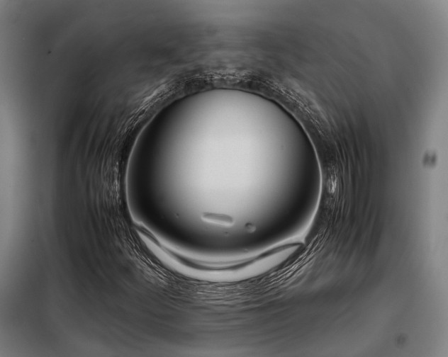 X0000098121252200804041400