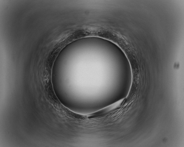 X0000098121253200804041400