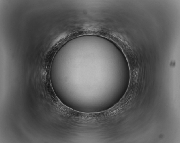 X0000098121254200804041400