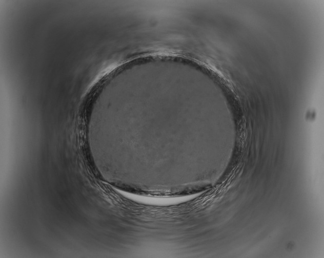 X0000098121255200804041400