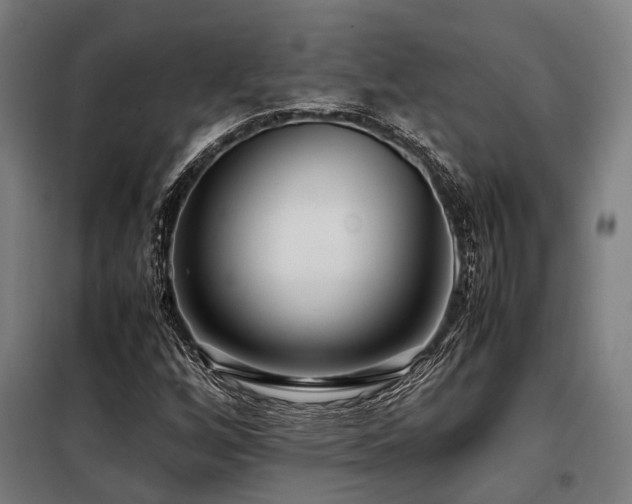 X0000098121256200804041400