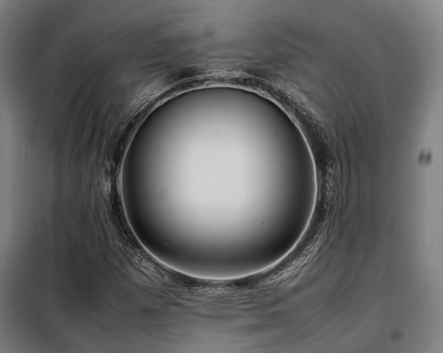 X0000098121257200804041400