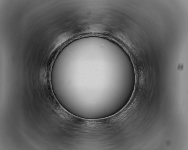X0000098121258200804041400