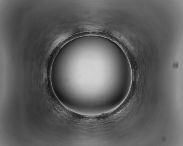 X0000098121261200804041400