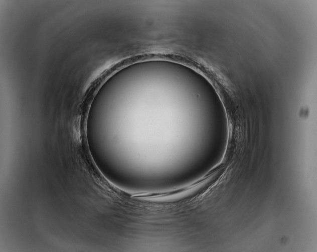 X0000098121262200804041400