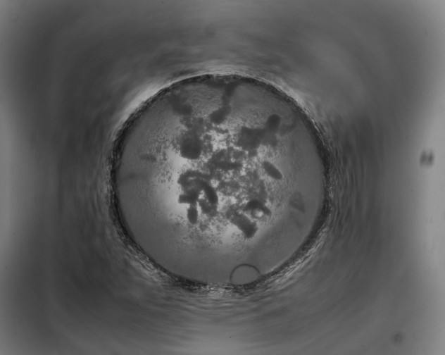 X0000098121263200804041400
