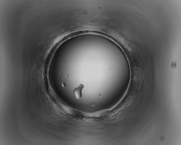 X0000098121264200804041400