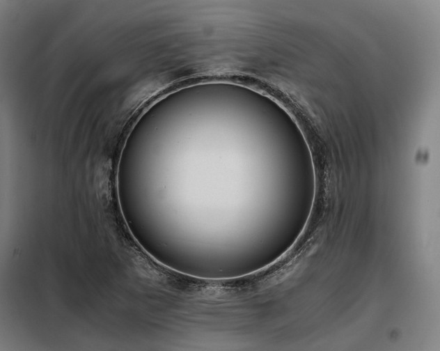 X0000098121265200804041400