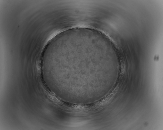X0000098121266200804041400