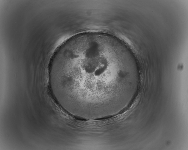 X0000098121267200804041400