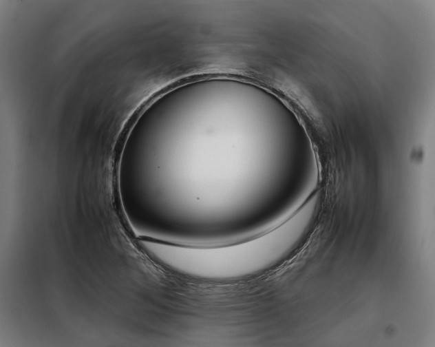 X0000098121268200804041359