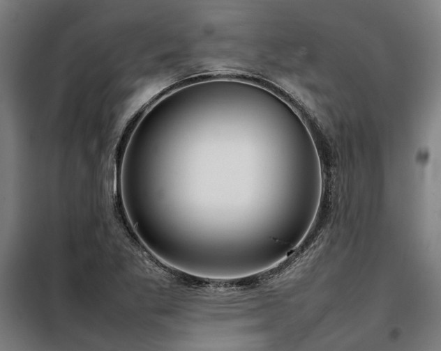 X0000098121269200804041359